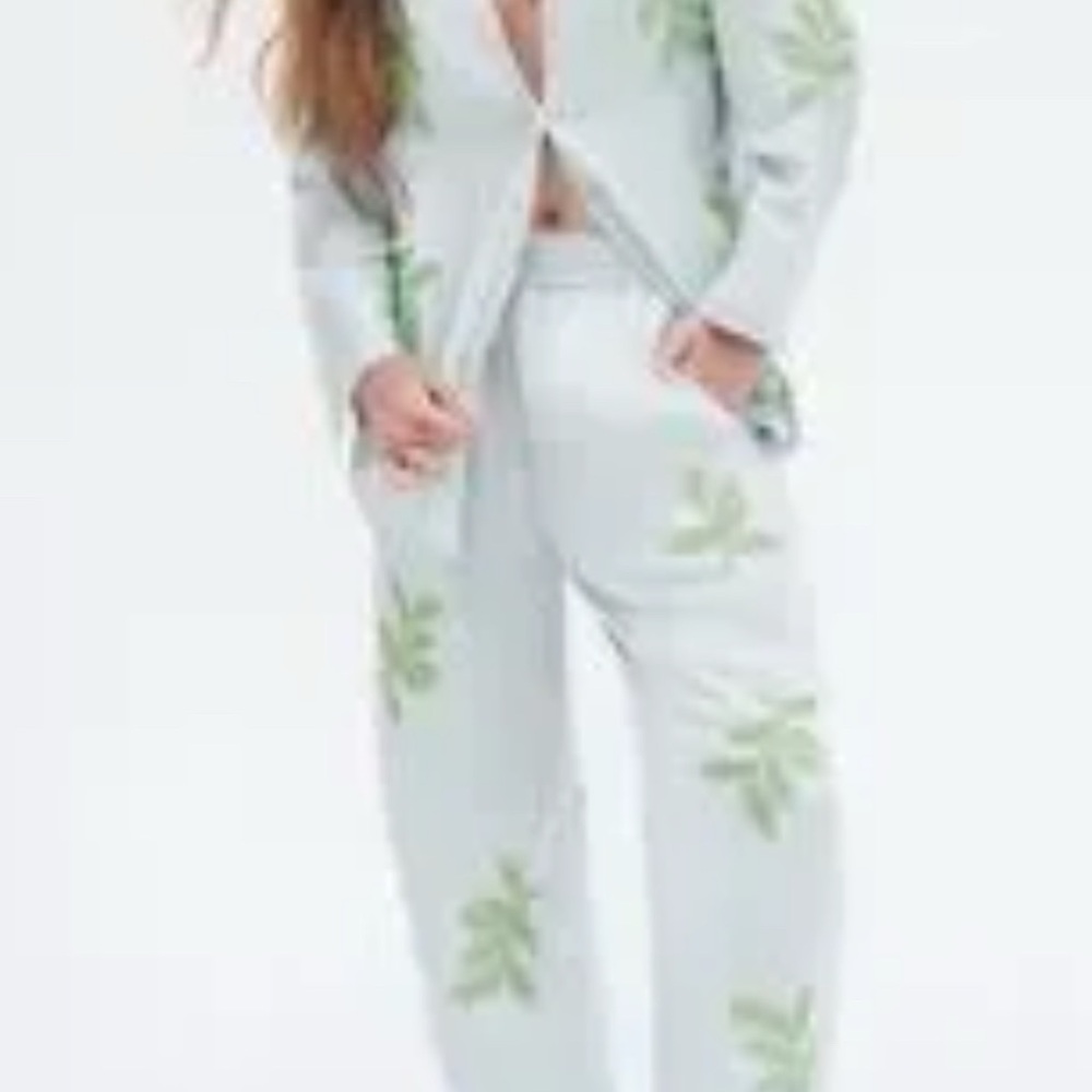 Zara beaded leaf embroidered shirt & pants